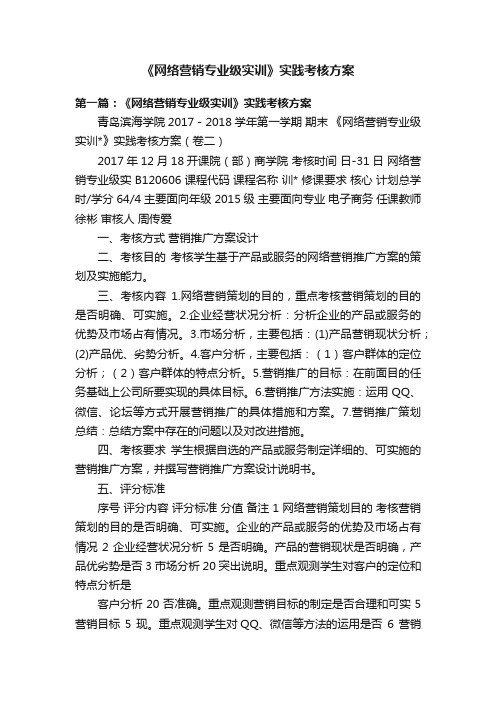 《网络营销专业级实训》实践考核方案