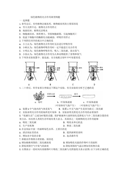 绿色植物的光合作用例题(济南版)