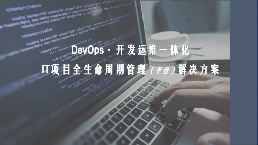 DevOps-IT项目全生命周期管理解决方案