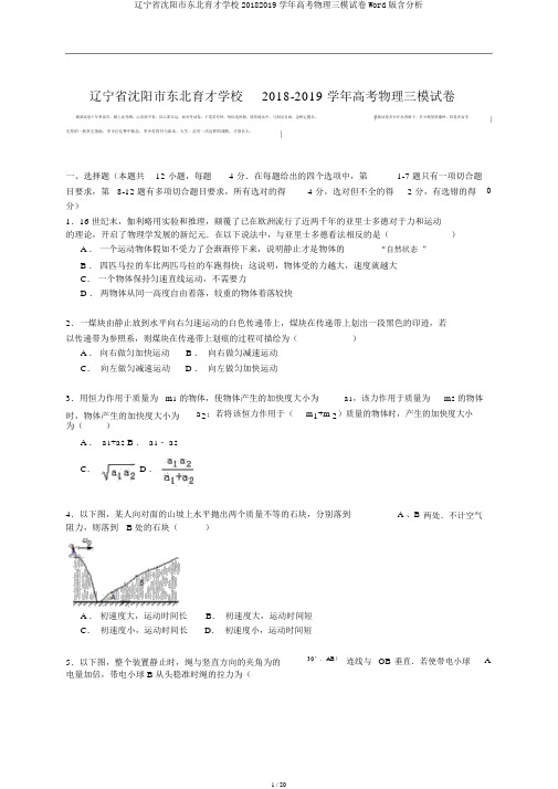 辽宁省沈阳市东北育才学校20182019学年高考物理三模试卷Word版含解析