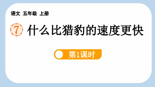 最新部编人教版语文五年级上册《什么比猎豹的速度更快(第1课时)》精品教学课件