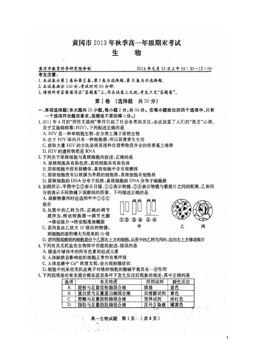 2017年秋黄冈市高一生物上学期期末考试试题(附答案)