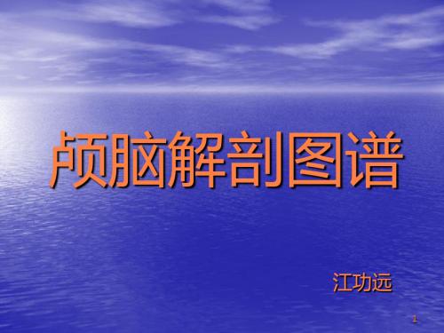 颅脑解剖图谱ppt课件