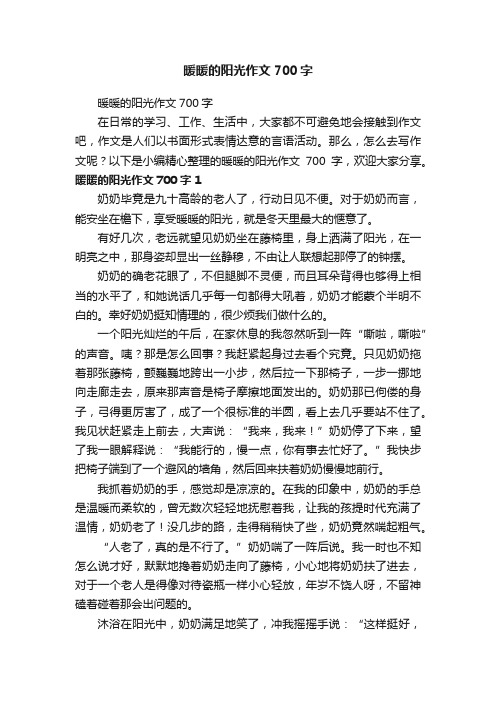 暖暖的阳光作文700字