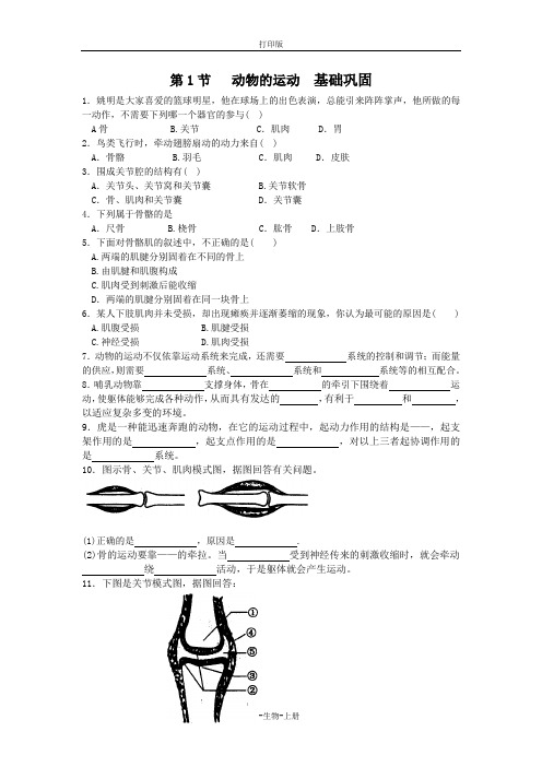 人教版生物-八年级上册-第1节 动物的运动  基础巩固