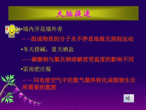 中考专题复习——科学探究 PPT教学课件 人教版