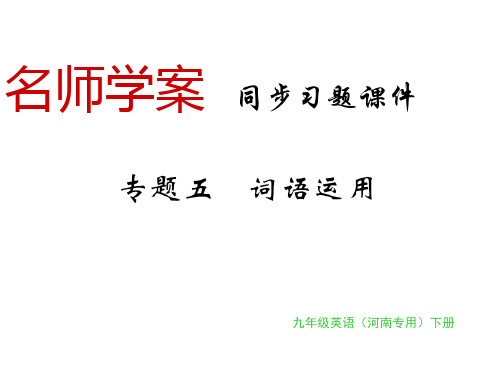 人教版九年级英语全册(河南专版)习题课件：专题五(共32张PPT)