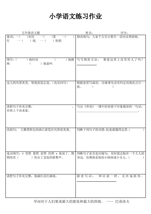 小学五年级语文课堂练习III (23)