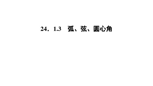 人教版九年级上册数学作业课件 第二十四章 圆的有关性质 弧弦圆心角