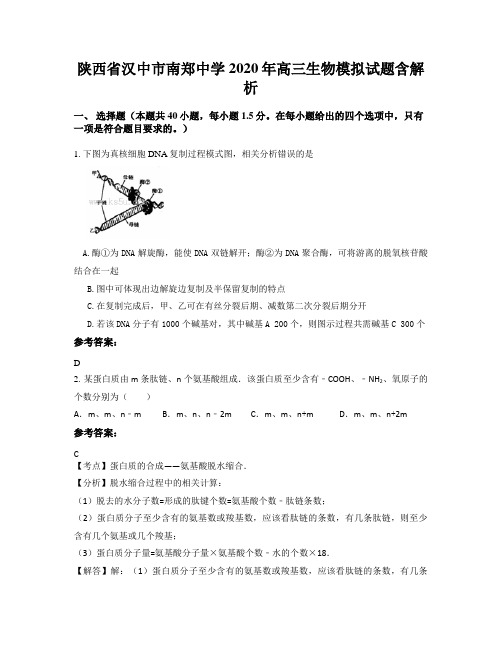 陕西省汉中市南郑中学2020年高三生物模拟试题含解析