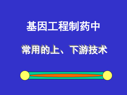 (新)基因工程制药中常用的上、下游技术
