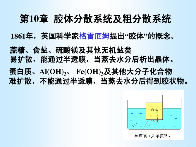 10.胶体分散系统及粗分散系统