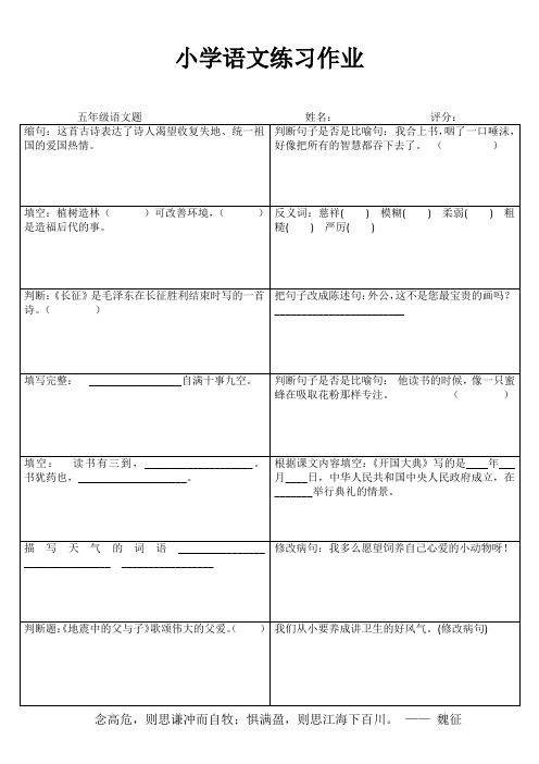 小学五年级语文课堂练习II (62)