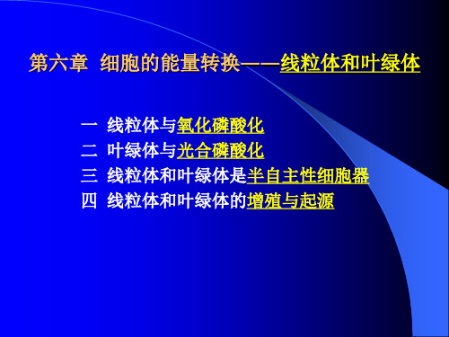 第六章 细胞的能量转换--线粒体和叶绿体