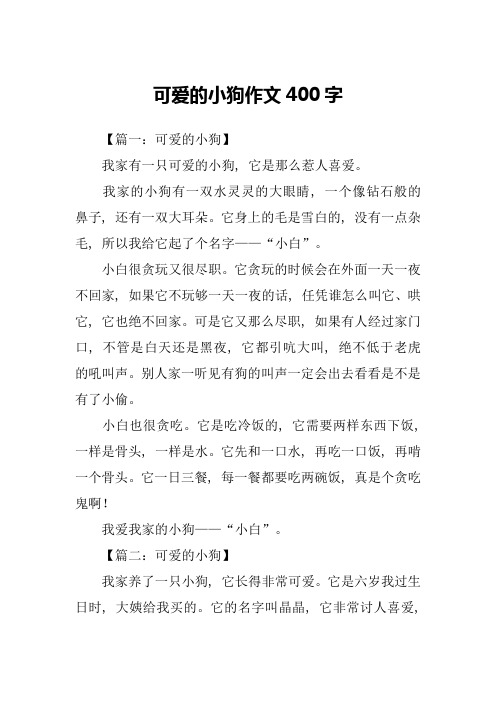 可爱的小狗作文400字-1