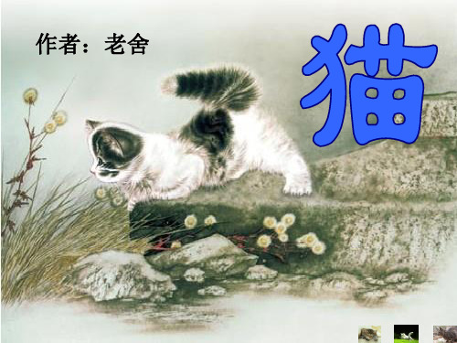 《猫》老舍(公开课课件)