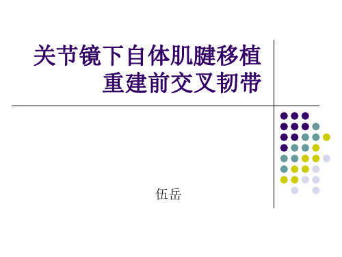 关节镜下自体肌腱移植重建前交叉韧带讲义