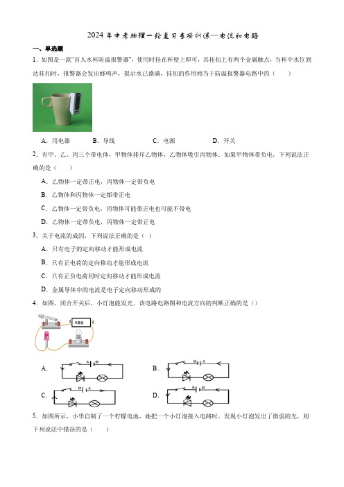 2024年中考物理一轮复习专项训练—电流和电路 (2)(含答案)