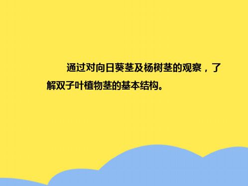 双子叶植物茎的解剖结构(“细胞”相关文档)共10张