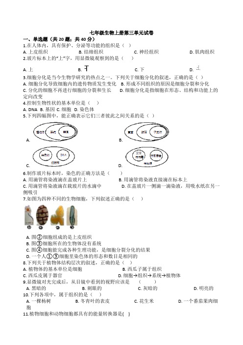 人教版七年级生物上册 第三单元 测试卷