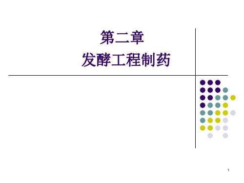 发酵工程制药生物技术制药ppt课件