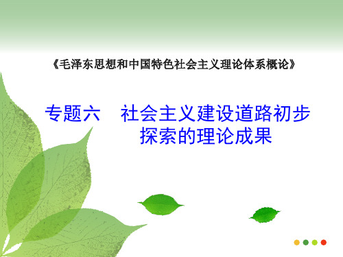 毛概专题六 社会主义建设道路初步探索的理论成果