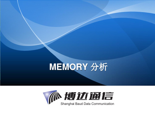 MEMORY 分析