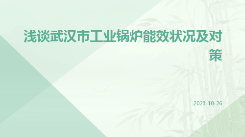 浅谈武汉市工业锅炉能效状况及对策