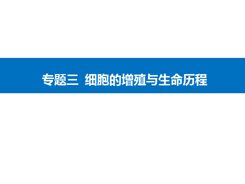 专题3 考点3 细胞的分化、衰老、凋亡与癌变 课件 2021年高考备考生物二轮复习专题复习