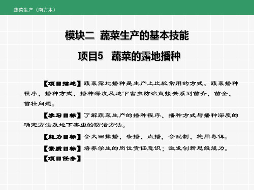 《蔬菜生产》课件——项目5  蔬菜露地播种