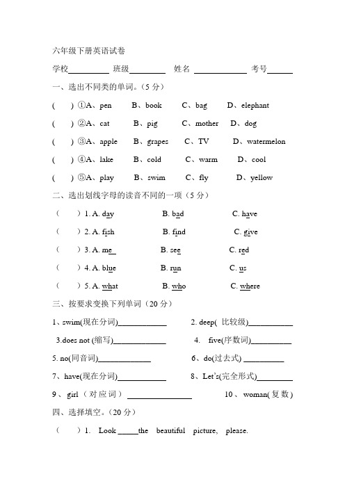 陕旅版版六年级下册英语试卷