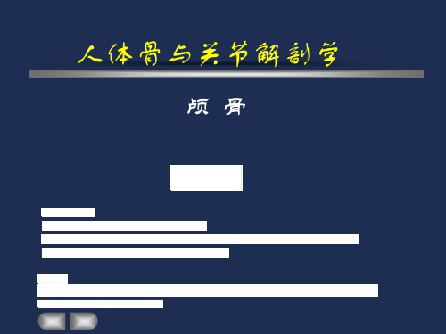 9.5颅底的内、外面观