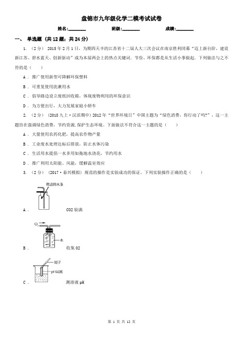 盘锦市九年级化学二模考试试卷