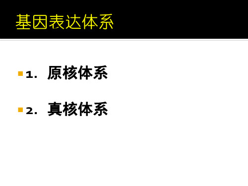 重组蛋白的分离纯化