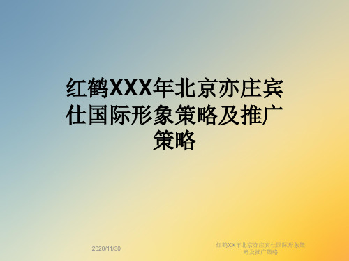 红鹤XX年北京亦庄宾仕国际形象策略及推广策略