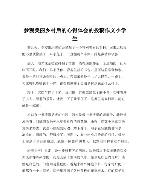 参观美丽乡村后的心得体会的投稿作文小学生