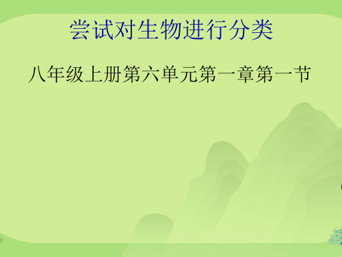 人教版初中生物八年级上册  6.1.1 尝试对生物进行分类 课件  (共30张PPT)