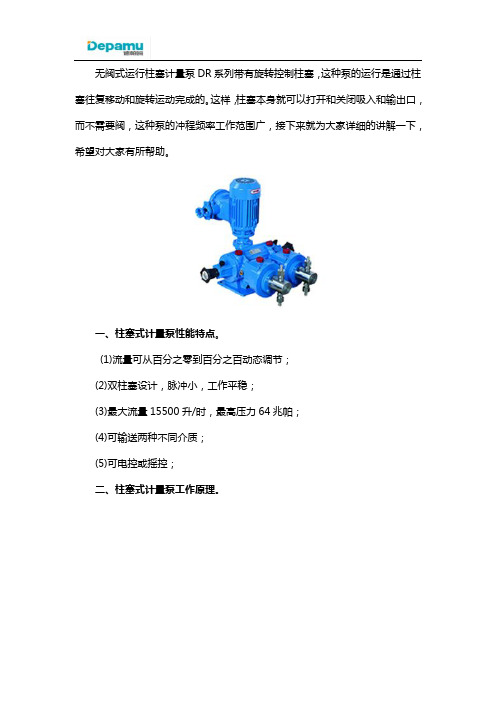 杭州柱塞式计量泵性能特点及工作原理