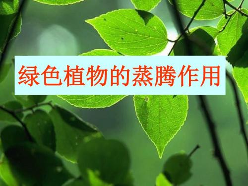 山东省高密市银鹰文昌中学生物(济南版)七年级上册课件