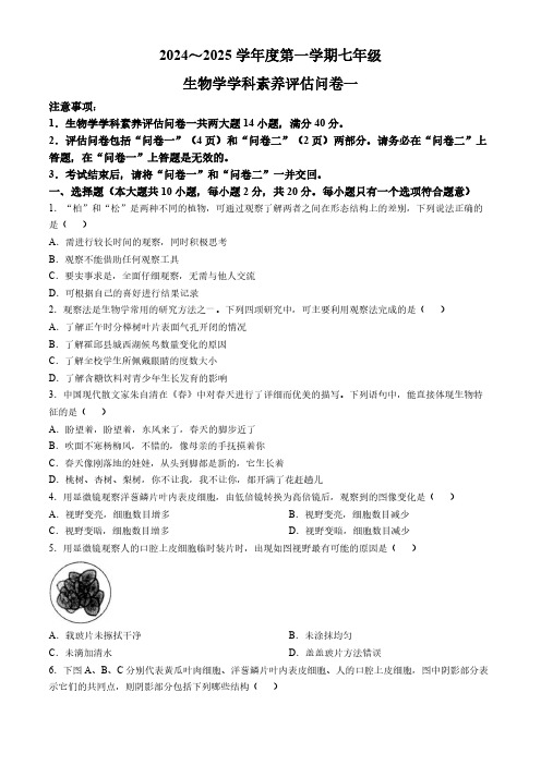 安徽省六安市霍邱县2024-2025学年七年级上学期期中生物学试题(含答案)