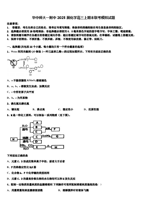 华中师大一附中2025届化学高三上期末联考模拟试题含解析