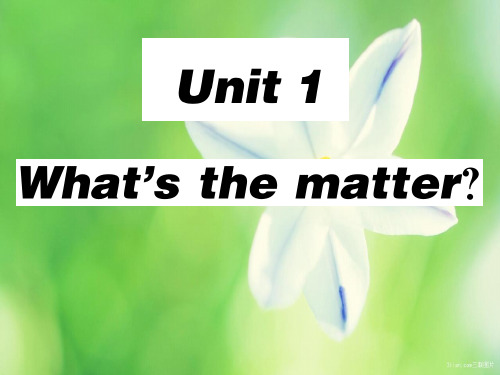 八年级英语下册unit1what’sthematter第3课时习题课件3