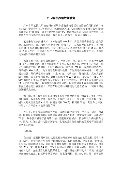 白玉蜗牛养殖效益看好