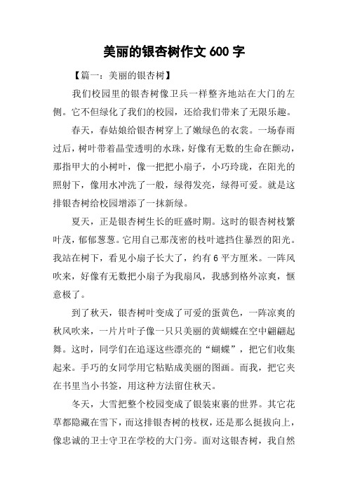 美丽的银杏树作文600字