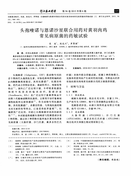 头孢喹诺与恩诺沙星联合用药对黄羽肉鸡常见病原菌的药敏试验