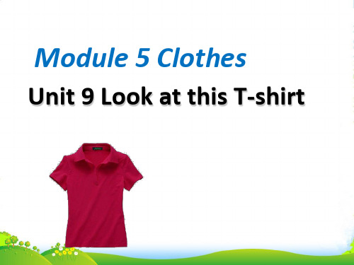 【广州版】四年级英语上册 Unit 9 Look at this T-shirt 1