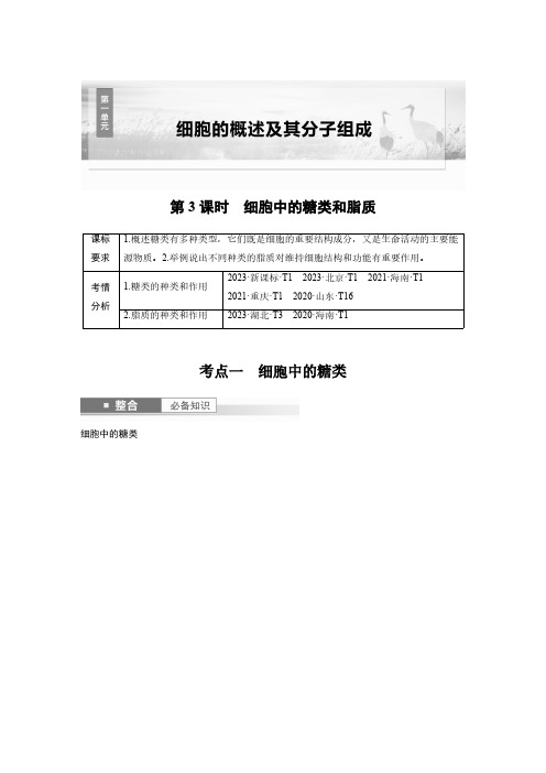 第一单元 第3课时 细胞中的糖类和脂质-2025年高中生物大一轮复习讲义人教版