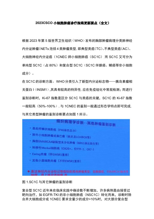 2023 CSCO小细胞肺癌诊疗指南更新要点全文