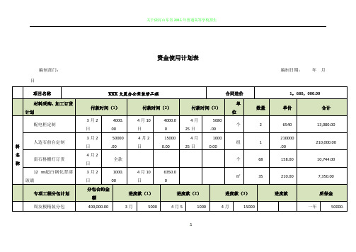 工程资金使用计划表