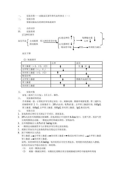 机能综合实验报告——动脉血压调节